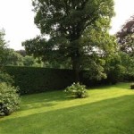 Communal Gardens, 14 Sherwood Chase